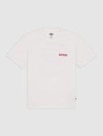 T-shirt leggera Dry Ridge